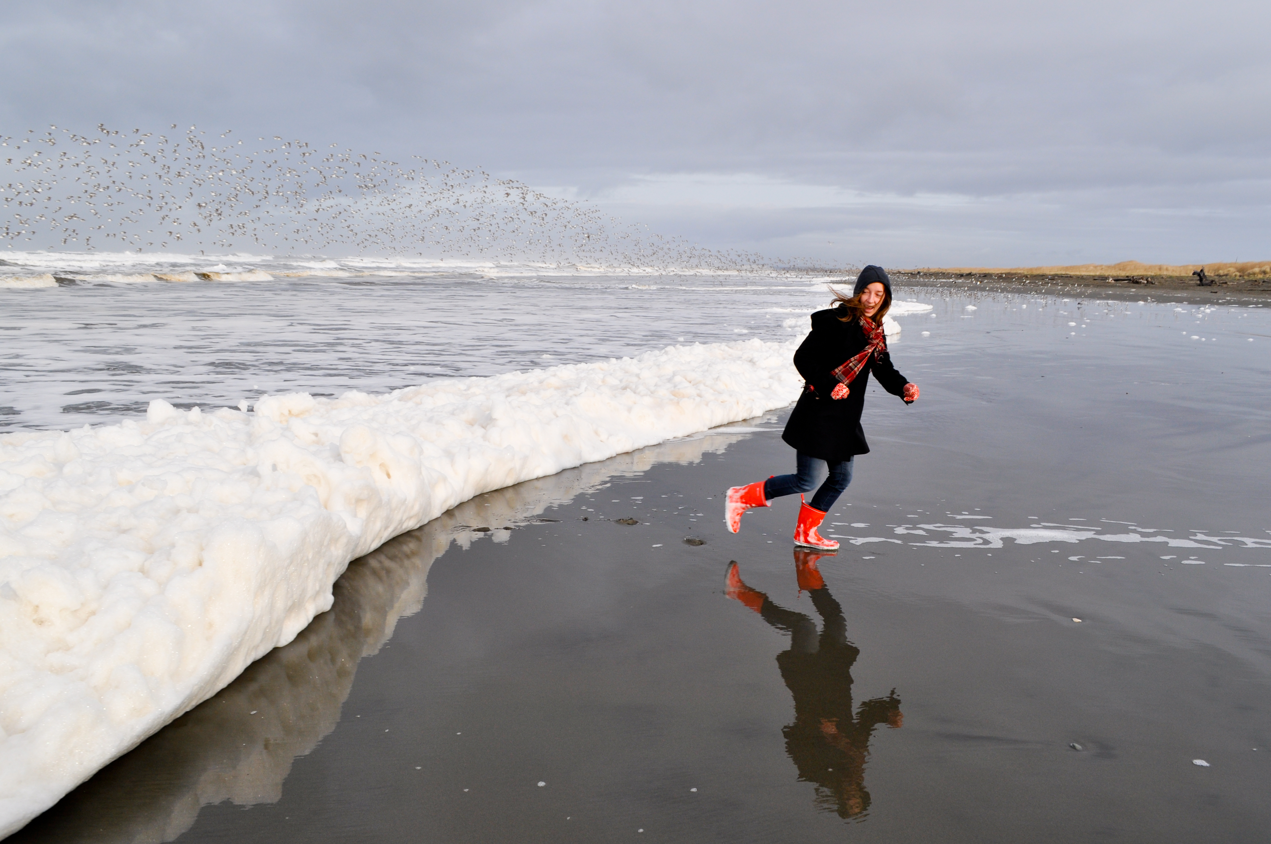 What Is Sea Foam? Where Does It Come From? 